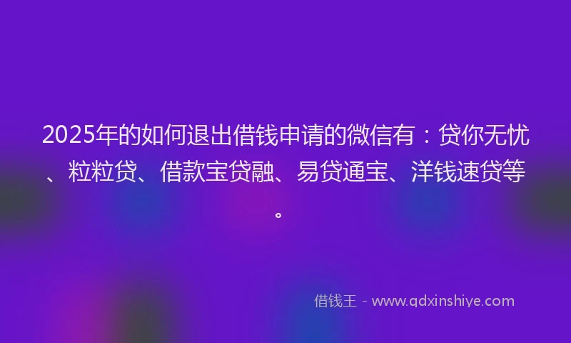2025年的如何退出借钱申请的微信有：贷你无忧、粒粒贷、借款宝贷融、易贷通宝、洋钱速贷等。