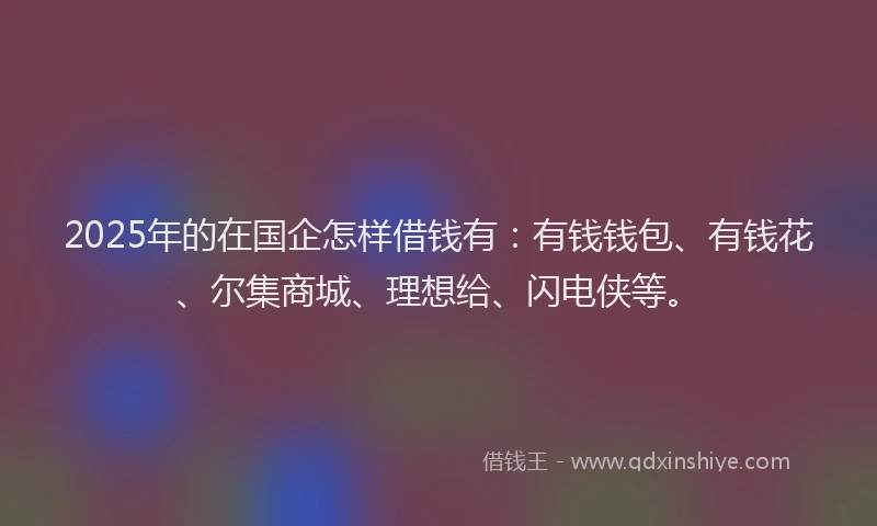 2025年的在国企怎样借钱有：有钱钱包、有钱花、尔集商城、理想给、闪电侠等。