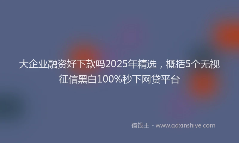 大企业融资好下款吗2025年精选，概括5个无视征信黑白100%秒下网贷平台