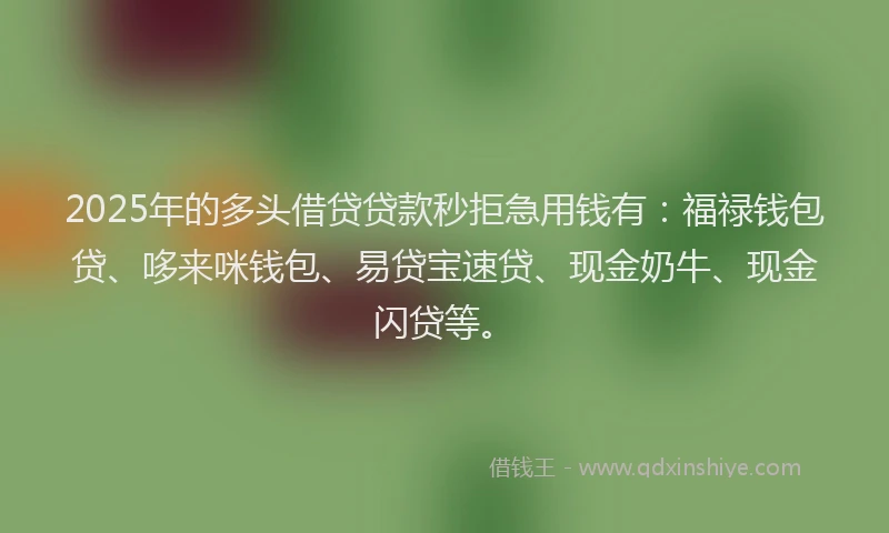 2025年的多头借贷贷款秒拒急用钱有：福禄钱包贷、哆来咪钱包、易贷宝速贷、现金奶牛、现金闪贷等。