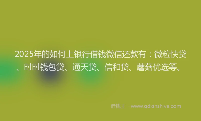 2025年的如何上银行借钱微信还款有：微粒快贷、时时钱包贷、通天贷、信和贷、蘑菇优选等。