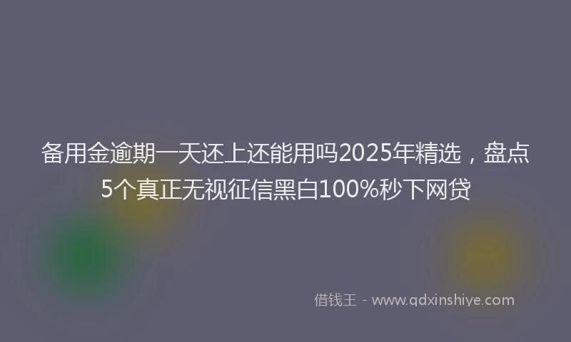 备用金逾期一天还上还能用吗2025年精选，盘点5个真正无视征信黑白100%秒下网贷