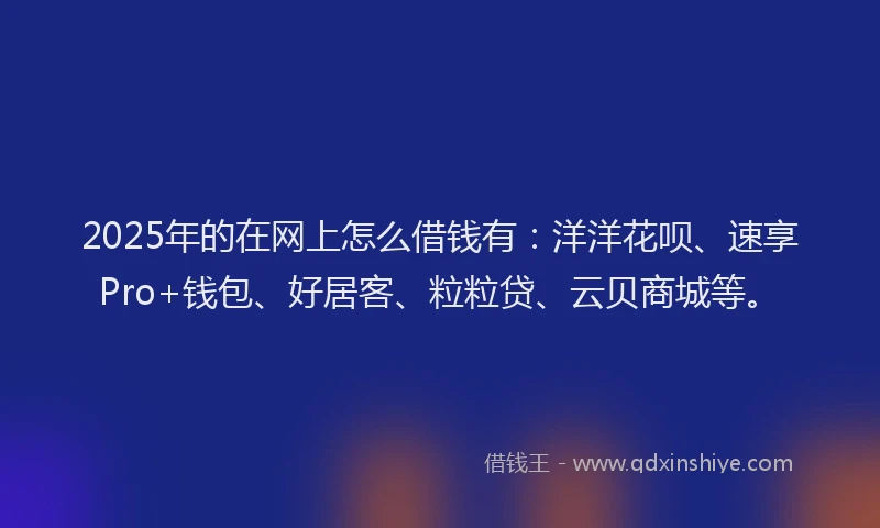 2025年的在网上怎么借钱有：洋洋花呗、速享Pro+钱包、好居客、粒粒贷、云贝商城等。