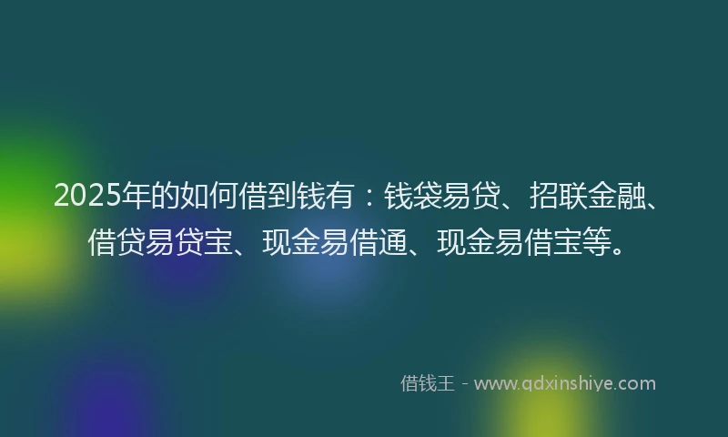 2025年的如何借到钱有：钱袋易贷、招联金融、借贷易贷宝、现金易借通、现金易借宝等。