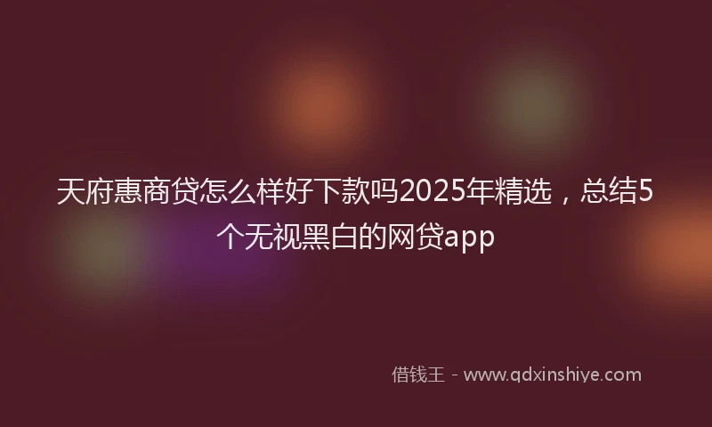 天府惠商贷怎么样好下款吗2025年精选，总结5个无视黑白的网贷app