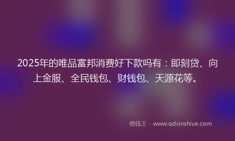 2025年的唯品富邦消费好下款吗有：即刻贷、向上金服、全民钱包、财钱包、天源花等。