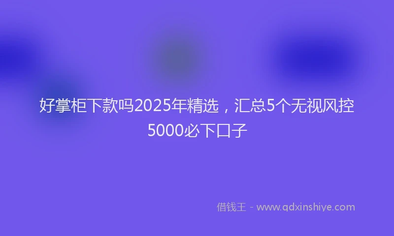 好掌柜下款吗2025年精选，汇总5个无视风控5000必下口子