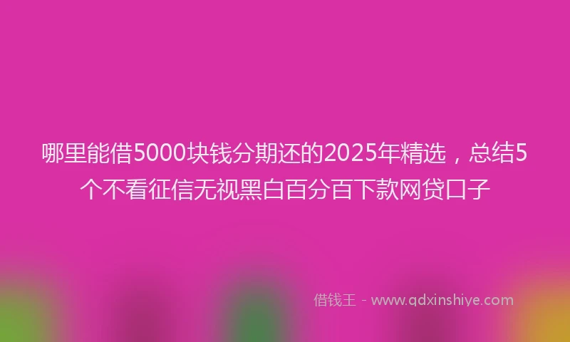 哪里能借5000块钱分期还的2025年精选，总结5个不看征信无视黑白百分百下款网贷口子