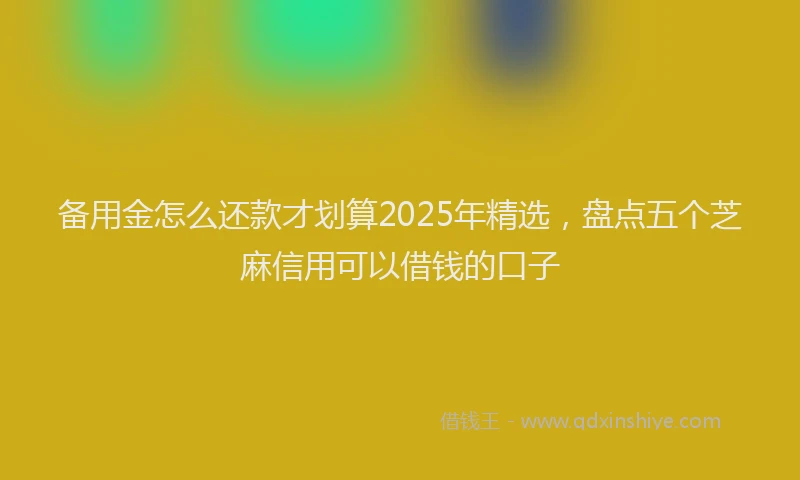 备用金怎么还款才划算2025年精选，盘点五个芝麻信用可以借钱的口子