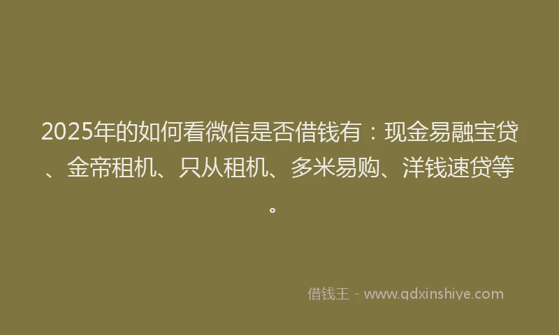 2025年的如何看微信是否借钱有：现金易融宝贷、金帝租机、只从租机、多米易购、洋钱速贷等。