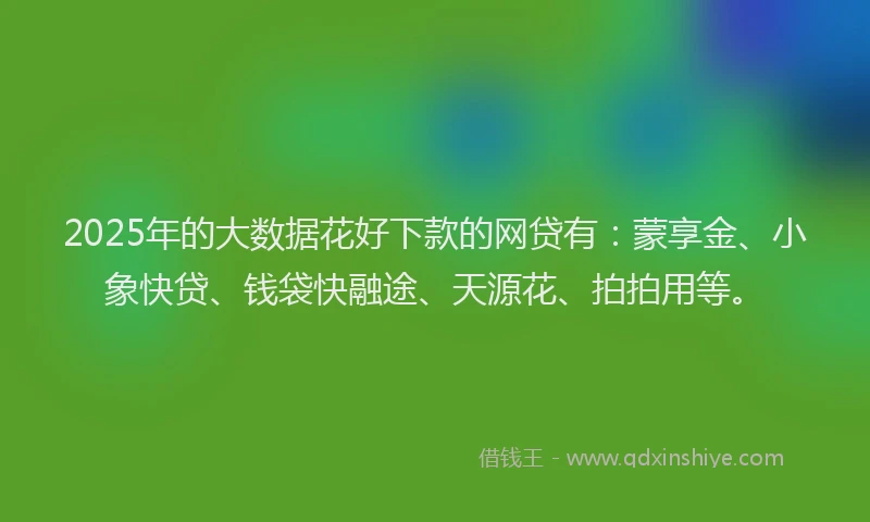 2025年的大数据花好下款的网贷有：蒙享金、小象快贷、钱袋快融途、天源花、拍拍用等。