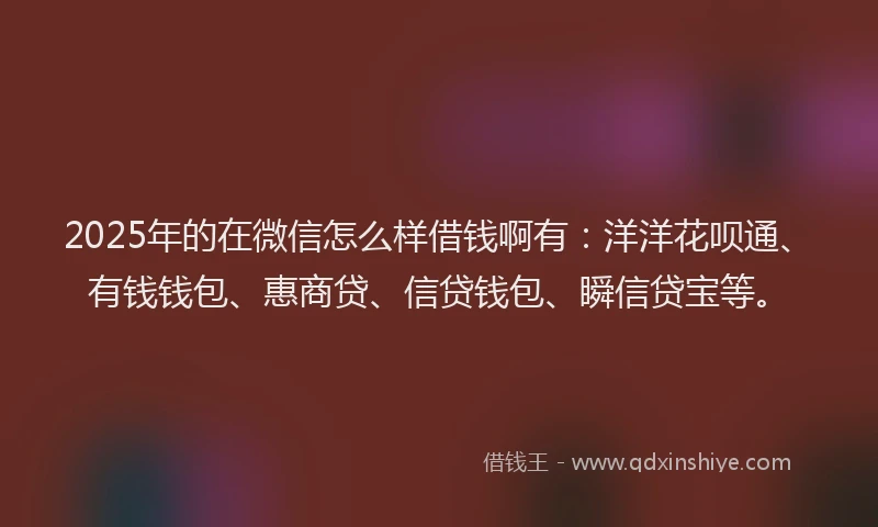 2025年的在微信怎么样借钱啊有：洋洋花呗通、有钱钱包、惠商贷、信贷钱包、瞬信贷宝等。