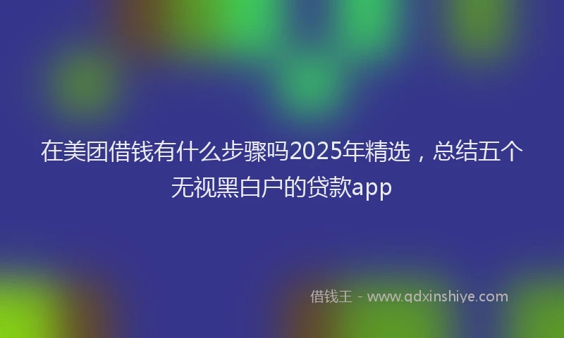 在美团借钱有什么步骤吗2025年精选，总结五个无视黑白户的贷款app