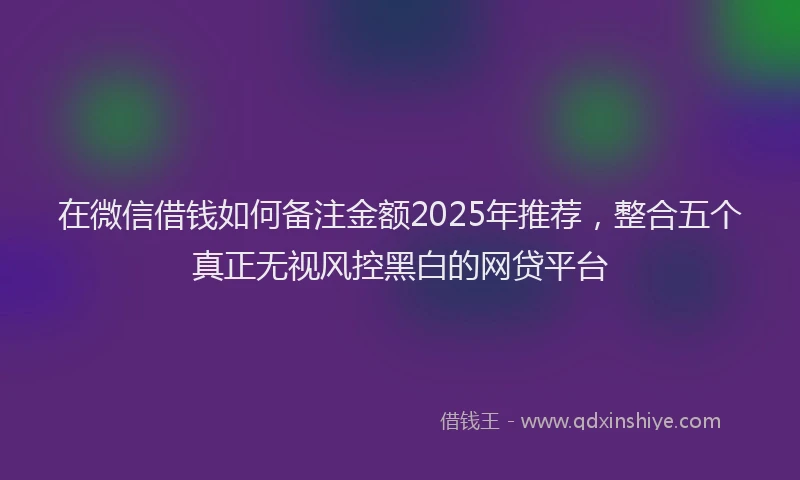 在微信借钱如何备注金额2025年推荐，整合五个真正无视风控黑白的网贷平台