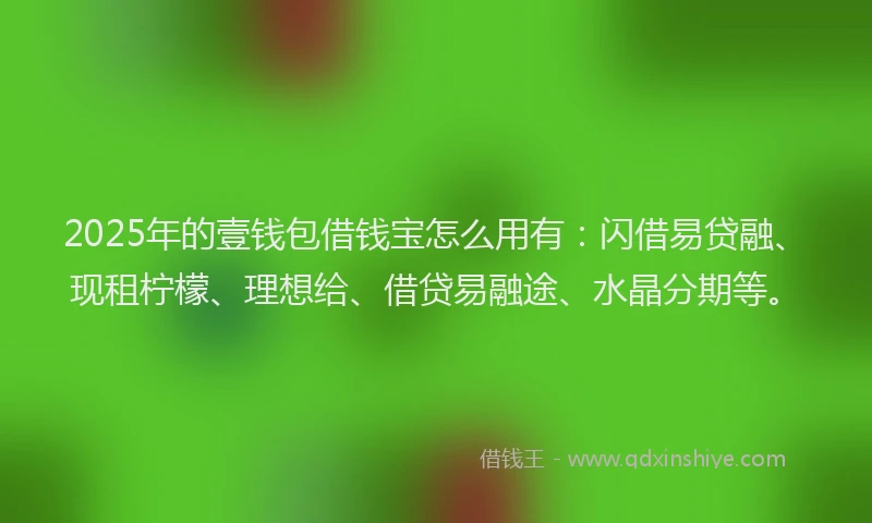 2025年的壹钱包借钱宝怎么用有：闪借易贷融、现租柠檬、理想给、借贷易融途、水晶分期等。