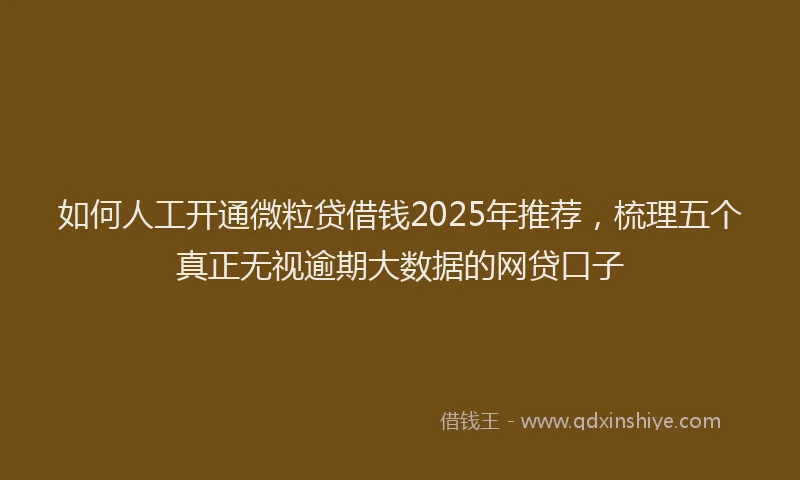 如何人工开通微粒贷借钱2025年推荐，梳理五个真正无视逾期大数据的网贷口子