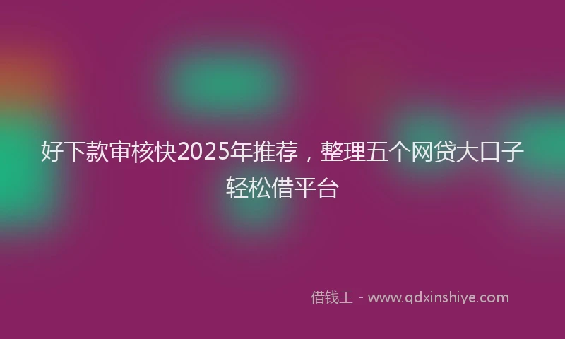 好下款审核快2025年推荐，整理五个网贷大口子轻松借平台