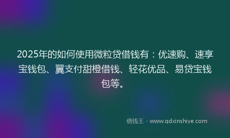2025年的如何使用微粒贷借钱有：优速购、速享宝钱包、翼支付甜橙借钱、轻花优品、易贷宝钱包等。