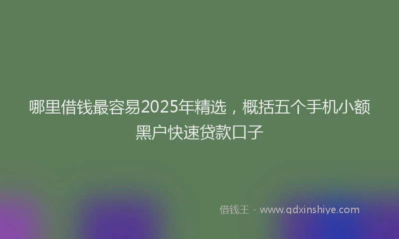 哪里借钱最容易2025年精选，概括五个手机小额黑户快速贷款口子
