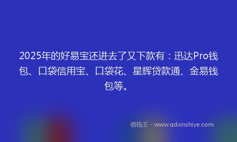 2025年的好易宝还进去了又下款有：迅达Pro钱包、口袋信用宝、口袋花、星辉贷款通、金易钱包等。