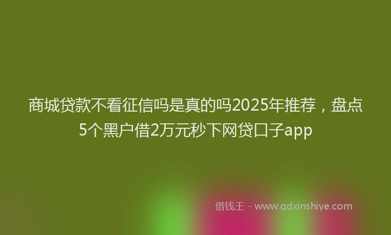 商城贷款不看征信吗是真的吗2025年推荐，盘点5个黑户借2万元秒下网贷口子app