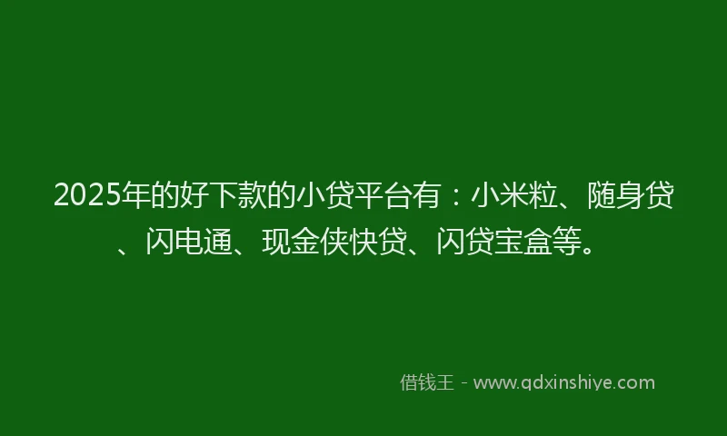 2025年的好下款的小贷平台有：小米粒、随身贷、闪电通、现金侠快贷、闪贷宝盒等。