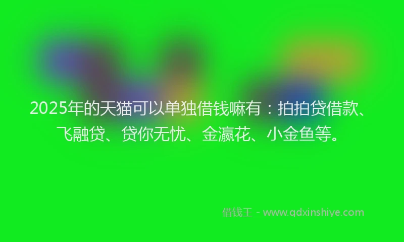 2025年的天猫可以单独借钱嘛有：拍拍贷借款、飞融贷、贷你无忧、金瀛花、小金鱼等。