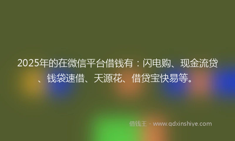 2025年的在微信平台借钱有：闪电购、现金流贷、钱袋速借、天源花、借贷宝快易等。