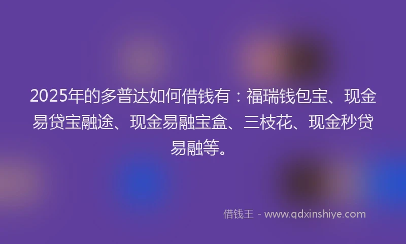 2025年的多普达如何借钱有：福瑞钱包宝、现金易贷宝融途、现金易融宝盒、三枝花、现金秒贷易融等。
