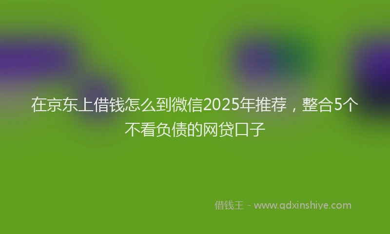 在京东上借钱怎么到微信2025年推荐，整合5个不看负债的网贷口子