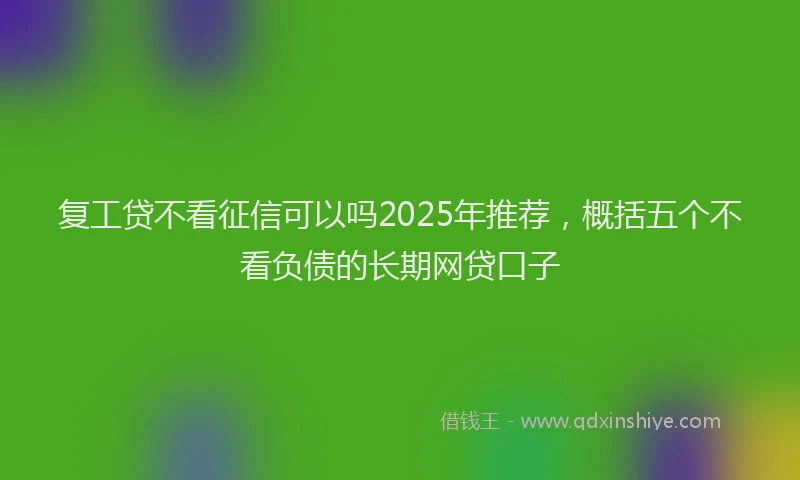 复工贷不看征信可以吗2025年推荐，概括五个不看负债的长期网贷口子