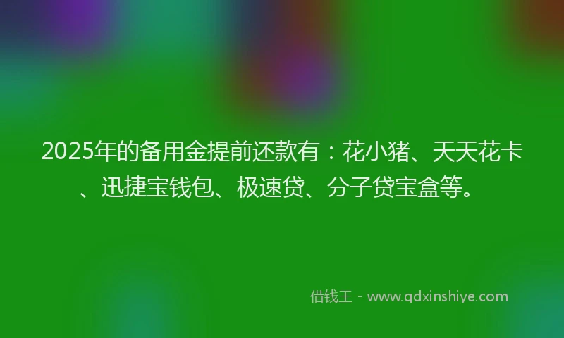2025年的备用金提前还款有：花小猪、天天花卡、迅捷宝钱包、极速贷、分子贷宝盒等。