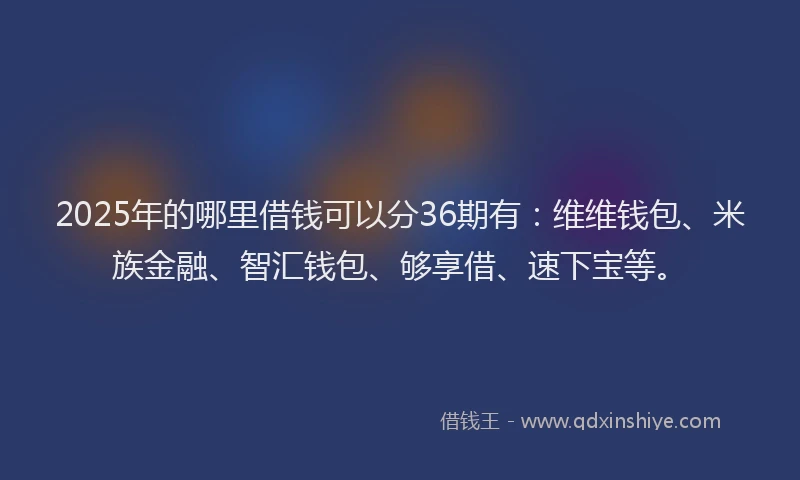 2025年的哪里借钱可以分36期有：维维钱包、米族金融、智汇钱包、够享借、速下宝等。