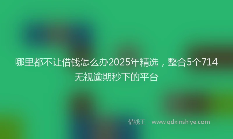 哪里都不让借钱怎么办2025年精选，整合5个714无视逾期秒下的平台