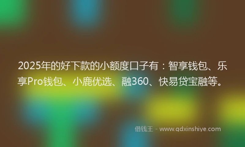 2025年的好下款的小额度口子有：智享钱包、乐享Pro钱包、小鹿优选、融360、快易贷宝融等。