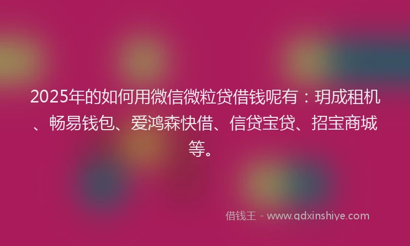 2025年的如何用微信微粒贷借钱呢有：玥成租机、畅易钱包、爱鸿森快借、信贷宝贷、招宝商城等。