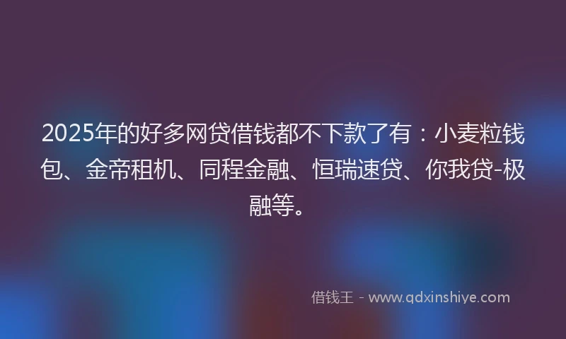 2025年的好多网贷借钱都不下款了有：小麦粒钱包、金帝租机、同程金融、恒瑞速贷、你我贷-极融等。