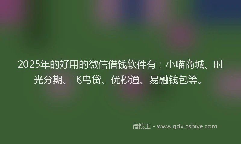 2025年的好用的微信借钱软件有：小喵商城、时光分期、飞鸟贷、优秒通、易融钱包等。