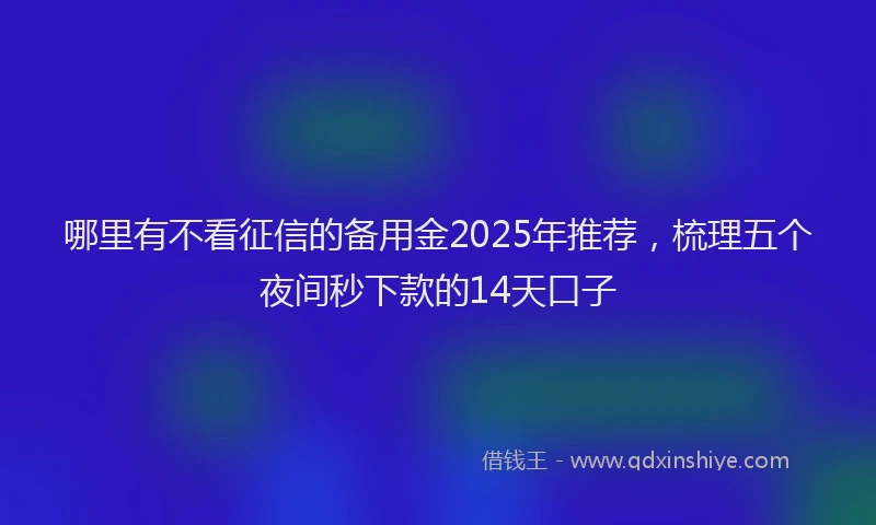 哪里有不看征信的备用金2025年推荐，梳理五个夜间秒下款的14天口子