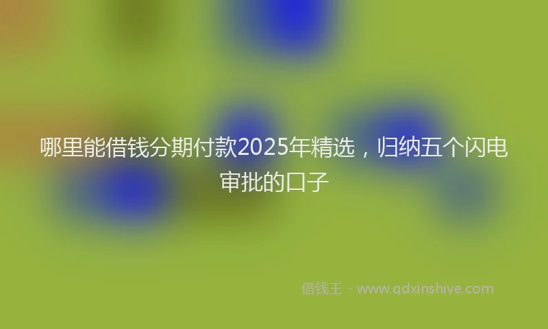 哪里能借钱分期付款2025年精选，归纳五个闪电审批的口子