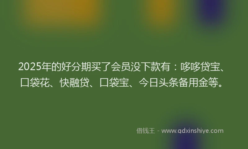 2025年的好分期买了会员没下款有：哆哆贷宝、口袋花、快融贷、口袋宝、今日头条备用金等。
