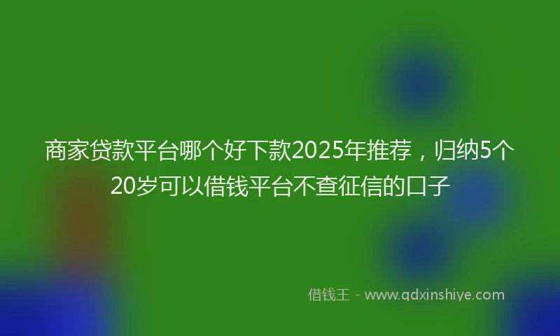 商家贷款平台哪个好下款2025年推荐，归纳5个20岁可以借钱平台不查征信的口子