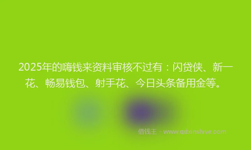2025年的嗨钱来资料审核不过有：闪贷侠、新一花、畅易钱包、射手花、今日头条备用金等。