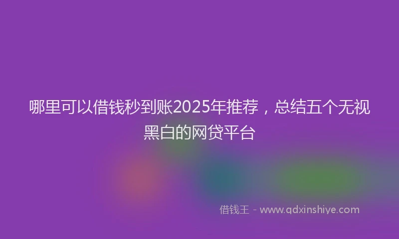哪里可以借钱秒到账2025年推荐，总结五个无视黑白的网贷平台