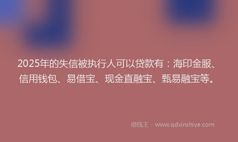 2025年的失信被执行人可以贷款有：海印金服、信用钱包、易借宝、现金直融宝、甄易融宝等。