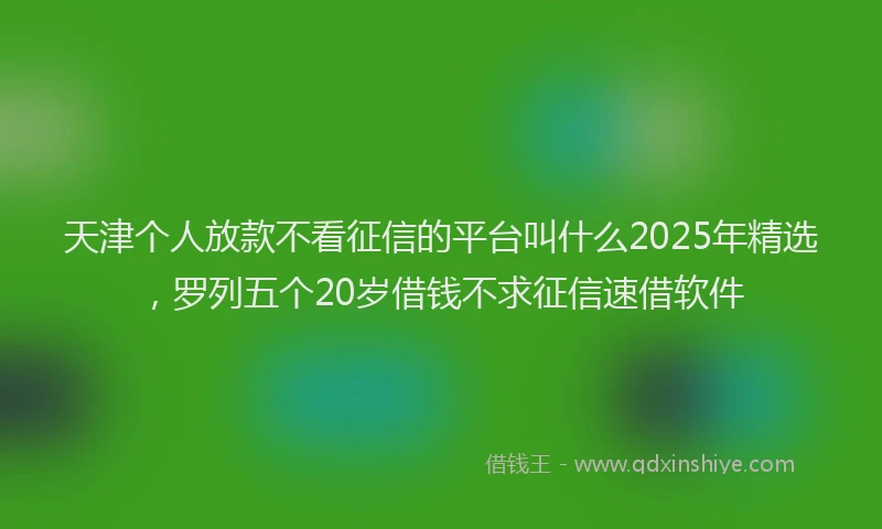 天津个人放款不看征信的平台叫什么2025年精选，罗列五个20岁借钱不求征信速借软件