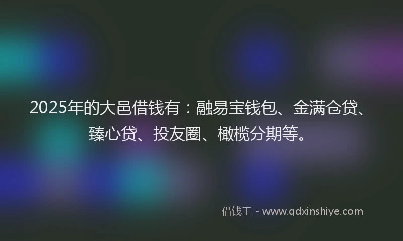2025年的大邑借钱有：融易宝钱包、金满仓贷、臻心贷、投友圈、橄榄分期等。