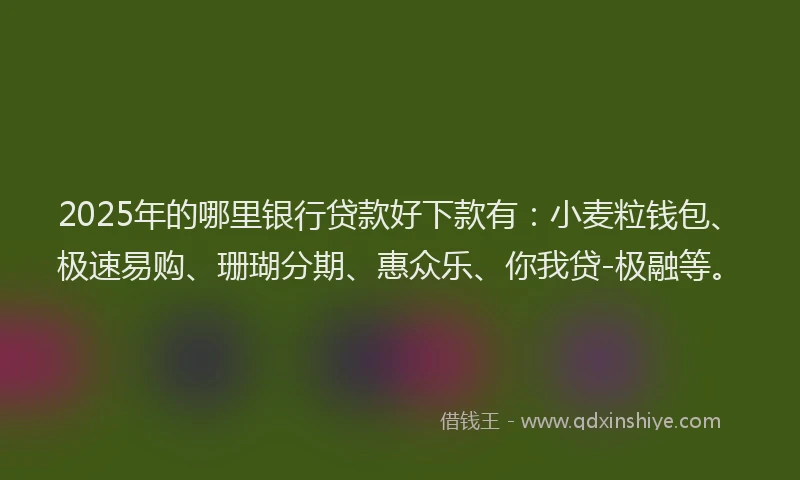 2025年的哪里银行贷款好下款有：小麦粒钱包、极速易购、珊瑚分期、惠众乐、你我贷-极融等。