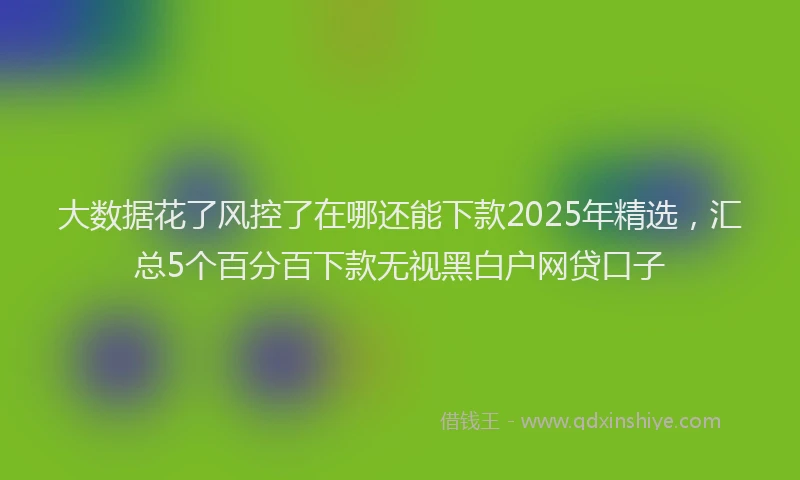 大数据花了风控了在哪还能下款2025年精选，汇总5个百分百下款无视黑白户网贷口子