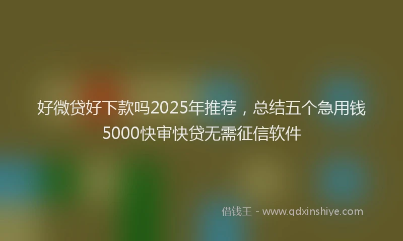 好微贷好下款吗2025年推荐，总结五个急用钱5000快审快贷无需征信软件